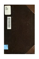 Whiskey Thief bottle