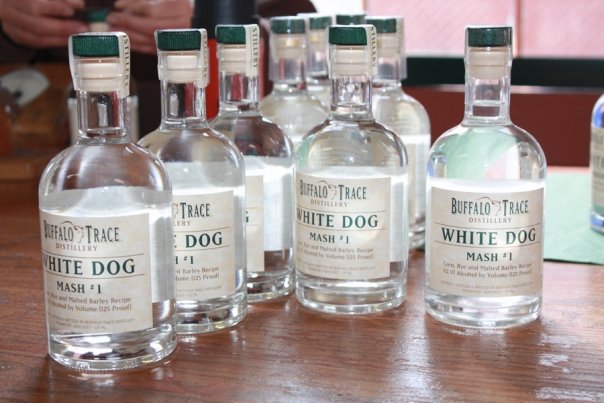 Completed White Dog bottles