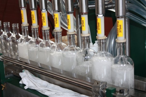 Filling White Dog bottles